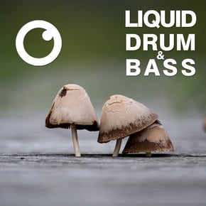 Liquid Drum & Bass Sessions 2020 Vol 20 : The Mix by Dreazz Cover Art