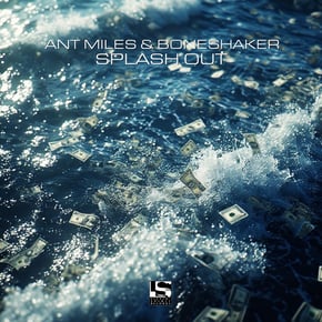 Splash Out by Ant Miles Cover Art