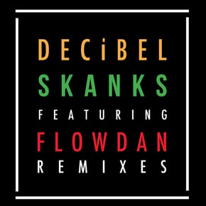Skanks (The Remixes) by Annix & Decibel Cover Art