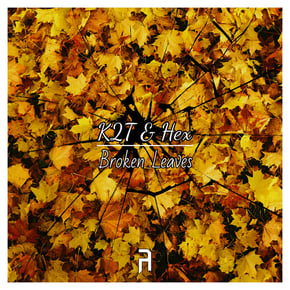 Broken Leaves by K2T Cover Art