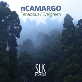 Tenacious by nCamargo Cover Art