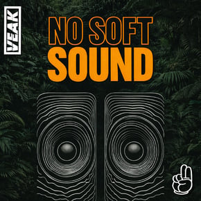 No Soft Sound by Veak Cover Art