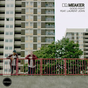 Good Fight by Dr Meaker Cover Art