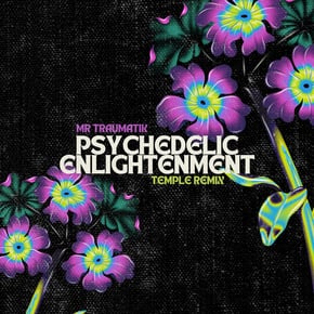 Psychedelic Enlightenment - Temple Remix by Mr Traumatik & Temple Cover Art