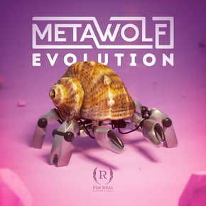Evolution by Metawolf Cover Art