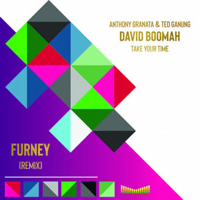 Take Your Time (Furney Remix) by David Boomah Cover Art