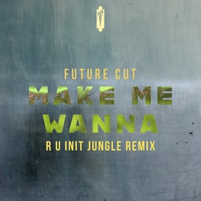 Make Me Wanna (R U Init Jungle Remix) by Future Cut Cover Art