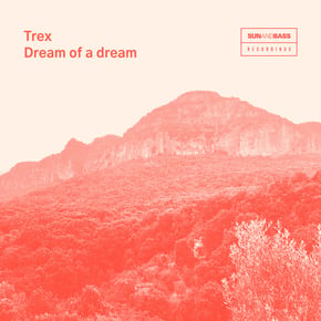 Dream Of A Dream by Trex Cover Art