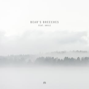 Bear's Breeches by Etherwood Cover Art