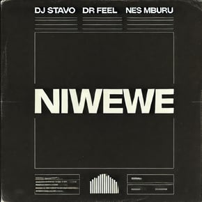 Niwewe by Tengu, DJ Stavo & Dr Feel Cover Art