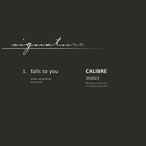 Falls to You by Calibre Cover Art