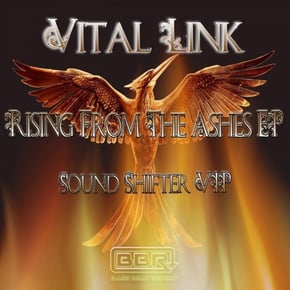 Rising From The Ashes EP by Vital Link Cover Art