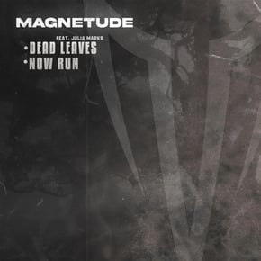 Dead Leaves / Now Run by Magnetude Cover Art