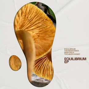 Equilibrium EP by Atlantic Connection Cover Art