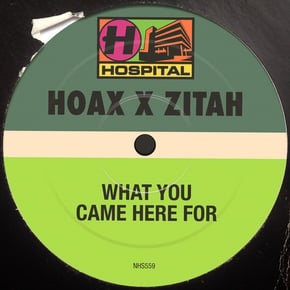 What You Came Here For by Hoax Cover Art