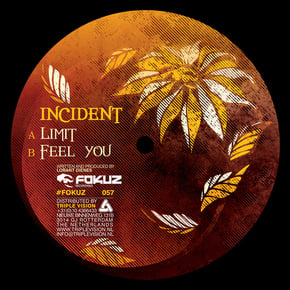 Limit / Feel You by Incident Cover Art