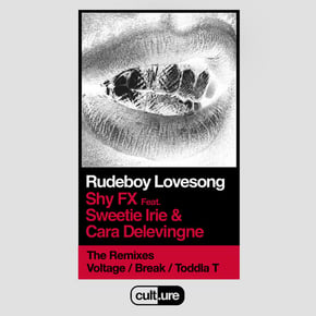 Rudeboy Lovesong (feat. Sweetie Irie and Cara Delevingne) [Remixes] by SHY FX Cover Art