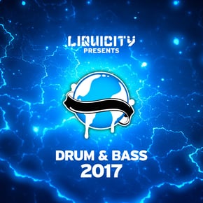 Riddle (Liquicity Drum & Bass 2017) by Voicians Cover Art