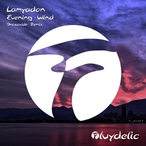 Evening Wind (Drosoxide Remix) by Drosoxide Cover Art