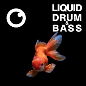 Liquid Drum & Bass Sessions #54 by Dreazz Cover Art