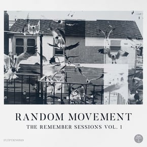 The Remember Sessions Vol. 1 by Random Movement Cover Art