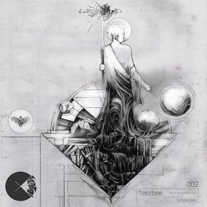 Another Dimension / Splitting Hairs by Nick Bee Cover Art
