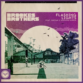 Flashing Lights by Brookes Brothers Cover Art