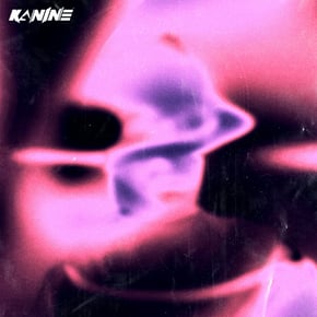 Division by Kanine Cover Art