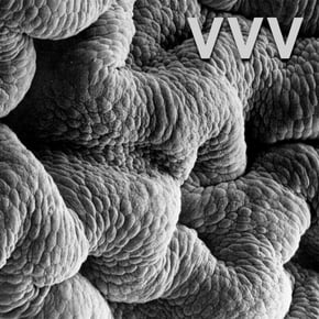 Shadow World by VVV Cover Art