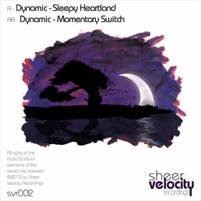 Sleepy Heartland / Momentary Switch by Dynamic Cover Art