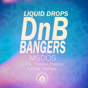 DnB Bangers, Vol. 2 by Furney & MSDOS Cover Art