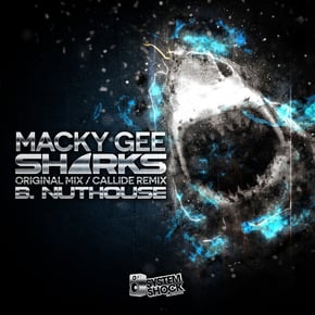 Sharks by Macky Gee & Callide Cover Art