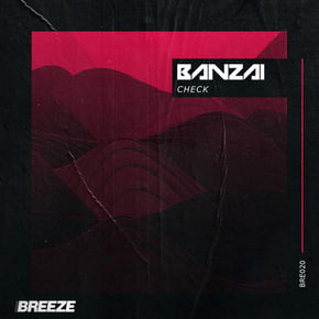 Check by Banzai Cover Art