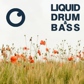 Liquid Drum & Bass Sessions 2021 Vol 43 : The Mix by Dreazz Cover Art