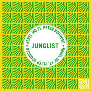 Junglist by Rebel MC Cover Art