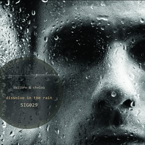 Dissolve In The Rain by Calibre Cover Art