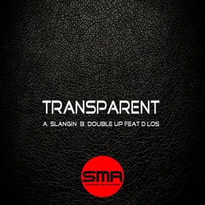 Double Up by Transparent Cover Art