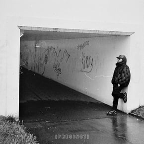 No Lies by Dogger Cover Art