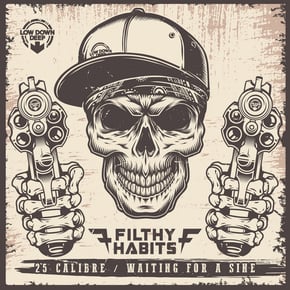 25 Calibre / Waiting For A Sine by Filthy Habits Cover Art