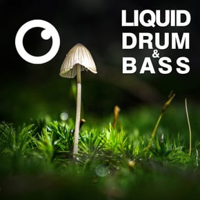 Liquid Drum & Bass Sessions 2020 Vol 30 : The Mix by Dreazz Cover Art