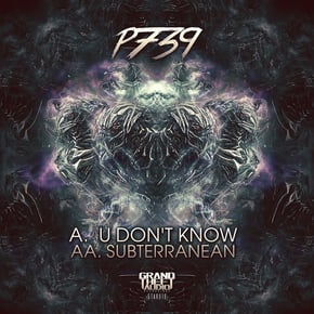 U Don't Know // Subterranean by P739 Cover Art