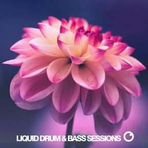 Liquid Drum & Bass Sessions 2020 Vol 9 by Dreazz Cover Art