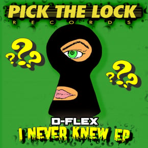 I Never Knew by D-Flex Cover Art