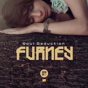 Soul Seduction by Furney Cover Art