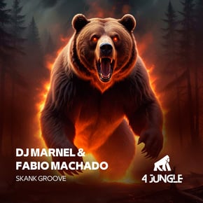 Skank Groove by DJ Marnel Cover Art