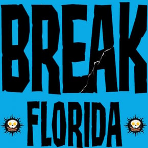 Break Florida 4 by Skynet Cover Art