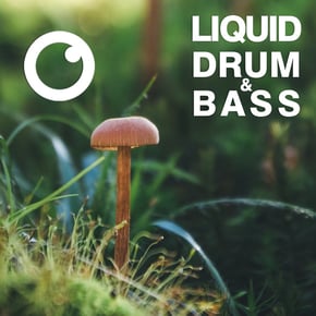 Liquid Drum & Bass Sessions 2020 Vol 39 : The Mix by Dreazz Cover Art