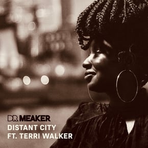 Distant City by Dr Meaker & Terri Walker Cover Art