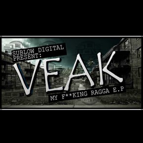 My Fucking Ragga by Veak Cover Art