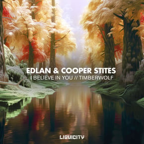 I Believe In You / Timberwolf by Edlan Cover Art